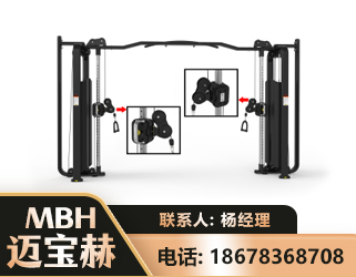 营口大飞鸟训练器