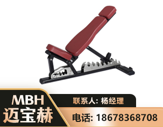 营口可调哑铃椅